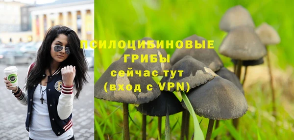 первитин Няндома