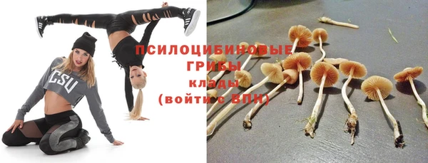 соль ск Новодвинск
