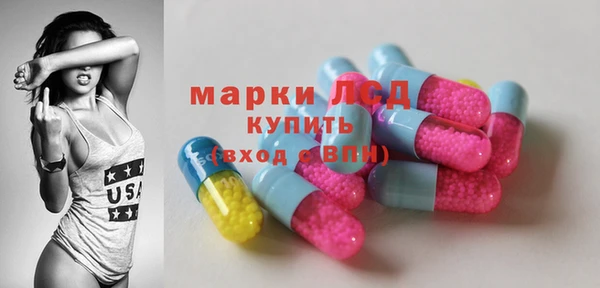 соль ск Новодвинск