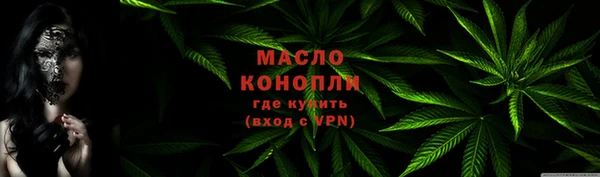 шишки Нязепетровск