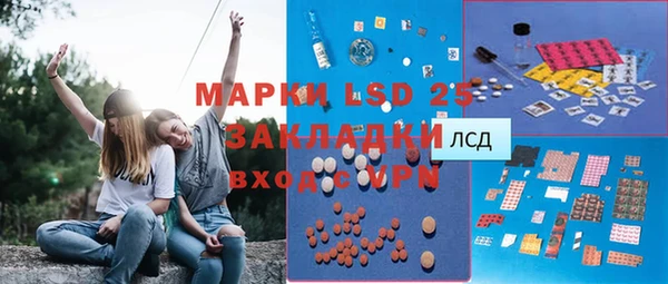шишки Нязепетровск