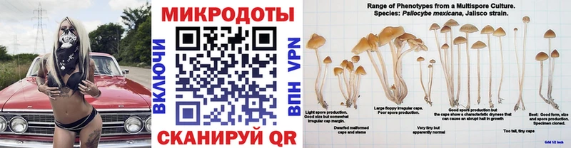 продажа наркотиков  Знаменск  Галлюциногенные грибы Psilocybe 