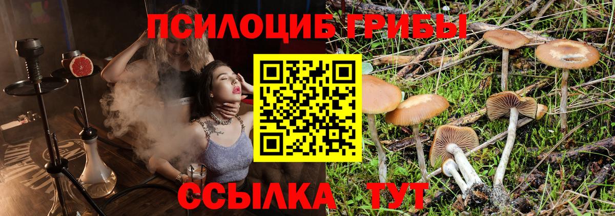 Галлюциногенные грибы Magic Shrooms Знаменск